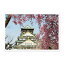 【半額&最大30%OFFクーポン】日本の絶景ポストカード 〜春〜 大阪城/大阪 82円