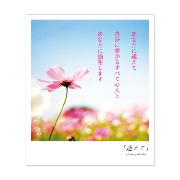 秒で理解する花束の夢 詩人きむ 言葉の花束ポストカード 逢えて 名言 格言 詩人 言葉 ことば 夢 勇気 元気 卒業 旅立ち 感謝 教員 先生 メッセージ 秒で理解する花束の夢 詩人きむ 言葉の花束ポストカード 逢えて 名言 格言 詩人 言葉 ことば 夢 勇気 元気 卒業 旅立ち 感謝 教員 先生 メッセージ