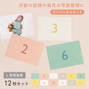 【5/10★RカードでP10倍】大容量アルバム用 L判アルバム 大容量 ナンバーデコカード 12枚セット L版 L判 写真 数字 デコレーション アルバム カー...