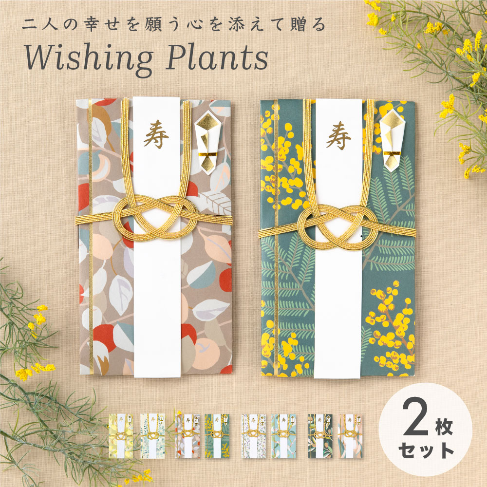 【送料無料】 メール便 Wishing Plants ご祝儀