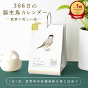 【SALE★10%OFF】366日の誕生鳥カレンダー 世界の美しい鳥 カレンダー 日めくりカレンダー 万年日めくり 卓上カレンダー 2025 2026 365 ...