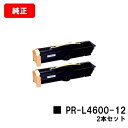 NEC トナーカートリッジ PR-L4600-12お買い得2本セット【純正品】【翌営業日出荷】【送料無料】【MultiWriter 4600】【SALE】