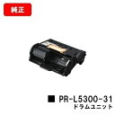 NEC ドラムユニット PR-L5300-31【純正品】【翌営業日出荷】【送料無料】【MultiWriter 5300】【ポイント10倍】【SALE】