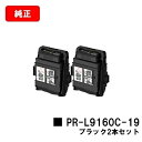 楽天トナージョーズ楽天市場店NEC トナーカートリッジ PR-L9160C-19 ブラックお買い得2本セット【純正品】【翌営業日出荷】【送料無料】【Color MultiWriter 9160C】【ポイント10倍】【SALE】