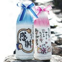 プチギフト 退職 【真心純水 こだわりの地サイダー】挨拶 結婚式 二次会 メッセージ