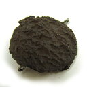 スイーツデコパーツ クッキー(ココア)