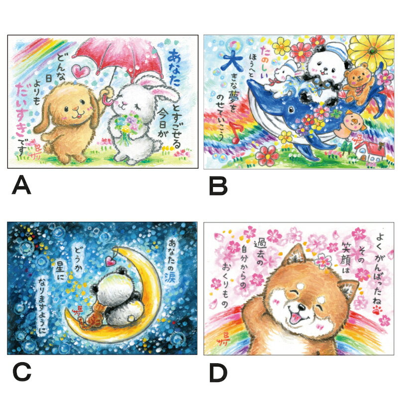 �ץ����ե� ���ե� �� �������� ���꡼ �ݥ��ȥ����� �� ������ ���襤�� �ץ쥼���