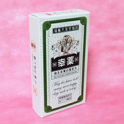 ラッピング ラッピング用品 プチギフト 【ラッピングボックス/幸薬ふくろう】 プチギフト ギフト プレゼント 誕生日 バレンタイン 手作り お菓子 包装 おもし...