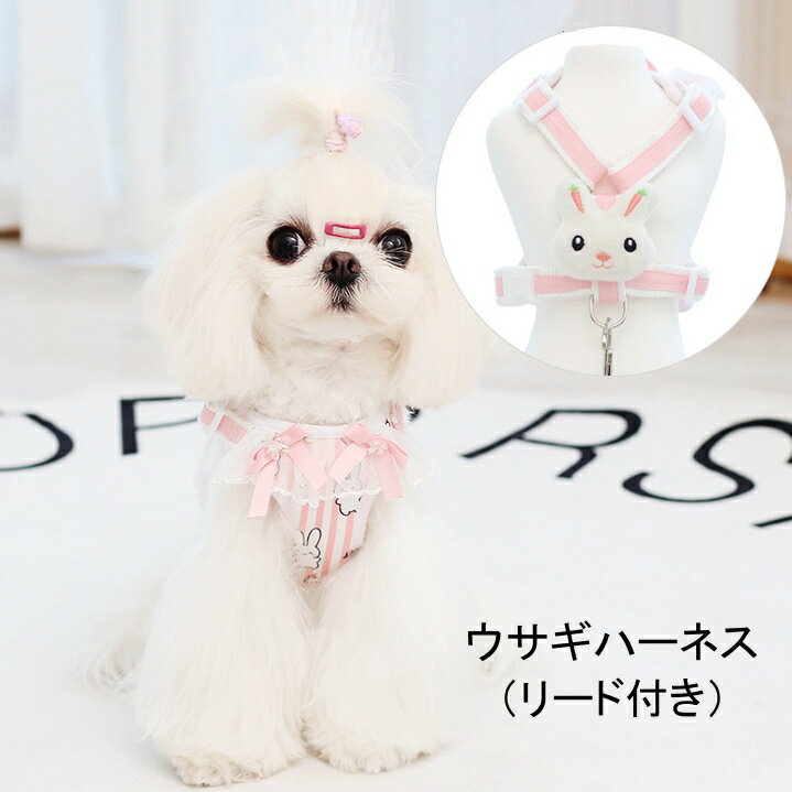 ڤɤ2300OFF3500OFFݥ󤢤۸ ϡͥ ꡼դ 2å ڥå  ƹ     Ф ñ »ɻ æɻ  襤
