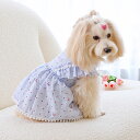 犬服 犬 服 ワンピース ドレス おしゃれ かわいい ふりふり 女の子 ライトブルー フリルスカート フリル レース 春用 夏用 春服 夏服 犬服 春 夏 小型...