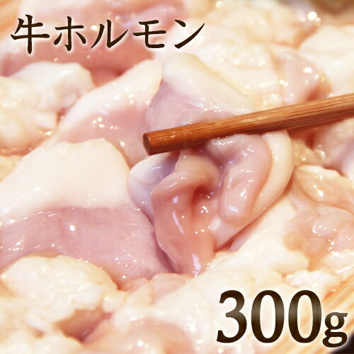 【追加用】 牛ホルモン 国産 300g お取り寄せグルメ 肉