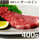 【送料無料】 飛騨牛 A5等級 サーロインステーキ 400g お取り寄せグルメ 肉