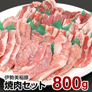 焼肉セット【伊勢美稲豚 焼肉セット 800g】 豚バラ 豚肩ロース 豚トロ 美稲豚 豚肉 バラ ロース 肩ロース トントロ BBQ バーベキュー 国産 三重 伊勢 家族 友達 豚肉 お取り寄せグルメ 肉