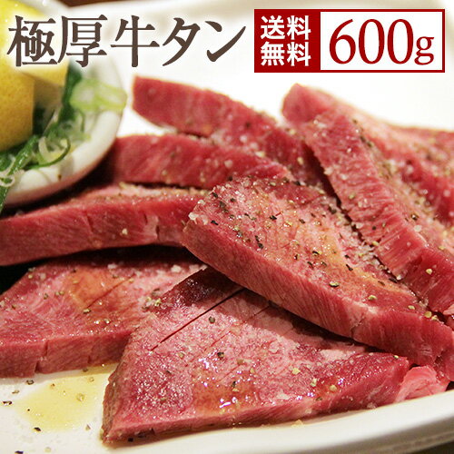 豚海 牛タン バーベキュー 極厚 牛たん 牛タン 焼き肉用 厚切り 600g 送料無料 タン 厚切り牛タン 人気 おすすめ 贅沢 豪華 BBQ 冷凍 やきにく豚海