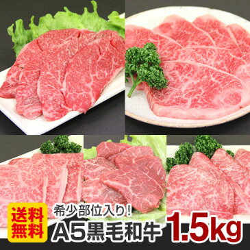 バーベキュー 【送料無料】 贅沢セット 1.5kg 塩 タレ 付き A5ランク 国産 黒毛和牛 カルビ ザブトン トモサンカク シンシン ロース芯 特選焼肉セット 1500g 人気 おすすめ 贅沢 豪華 プレミアム 希少部位 BBQ 牛肉