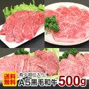 バーベキュー 【送料無料】贅沢セット 500g 塩 タレ 付き A5ランク 国産 黒毛和牛 カルビ ザブトン トモサンカク シンシン ロース芯 特選焼肉セット 人気 おすすめ 贅沢 豪華 プレミアム 希少部位 BBQ 牛肉