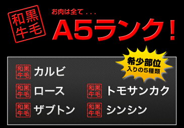 バーベキュー 【送料無料】贅沢セット 500g 塩 タレ 付き A5ランク 国産 黒毛和牛 カルビ ザブトン トモサンカク シンシン ロース芯 特選焼肉セット 人気 おすすめ 贅沢 豪華 プレミアム 希少部位 BBQ 牛肉