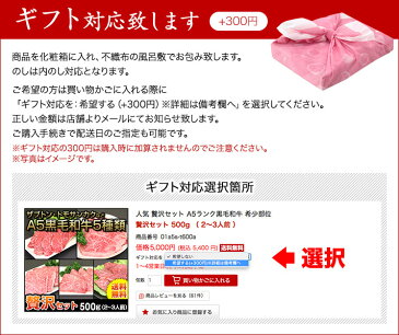 【送料無料】 お取り寄せグルメ 肉 飛騨牛 A5等級 サーロインステーキ 岐阜県産 600g