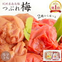 梅干し 紀州産南高梅 つぶれ梅 はちみつ味 しそ漬味 塩分3% 350g 【トノハタ公式】｜ 梅流し お試し アウトレット 食品 はねだし 訳あり 国産 和歌山県 しそ 梅 お取り寄せグルメ 減塩 人気 おすすめ