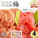 梅干し 減塩 塩分3% はちみつ梅干し しそ 漬け 味 つぶれ 梅 訳あり 300g×4個(1.2kg) 大量 セット 国産 紀州産南高梅 【トノハタ公式】| ...