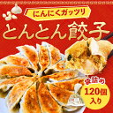 【テレビで紹介】【大容量】にんにくたっぷり とんとん餃子 120個 冷凍 焼くだけ 生餃子 ニンニク にんにく しょうが にら たっぷり 国産豚肉 国産野菜 簡単 焼餃子 水餃子 蒸し餃子 国産 おかず スタミナ餃子 大容量 メガ盛り おつまみ おかず 肉餃子 野菜餃子