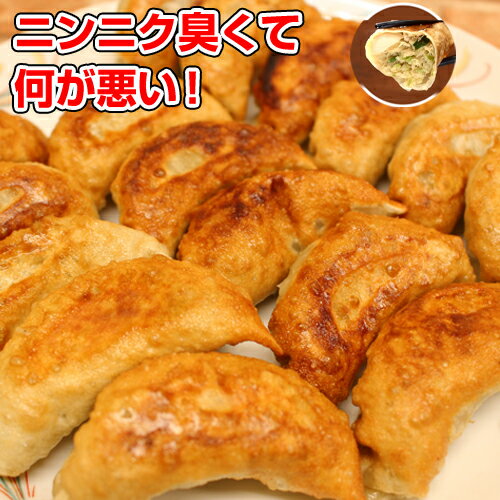 焼き餃子 冷凍 にんにく ギョウザ宇都宮??浜松??　いやい