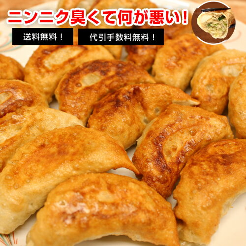 【訳あり】『送料無料』『代引き手数料無料』冷凍餃子 焼き餃子