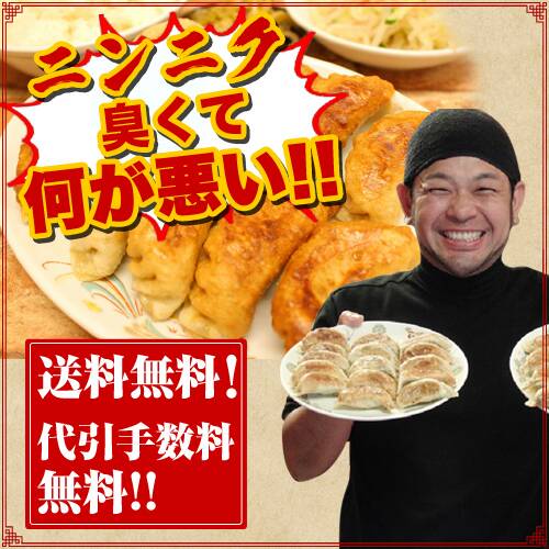 送料無料 代引き手数料無料 焼き餃子 冷凍 惣菜 にんにく 宇都宮 浜松 いやいや 新松戸の とんとん餃子 っしょ ニンニクどっさりスタミナ満点 ぎょうざ にんにくたっぷり 生姜どっさり 中華惣菜 点心 冷凍 とんとん餃子160個 冷凍餃子 冷凍ぎょうざ 新松戸