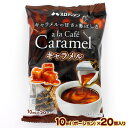 メロディアン アラカフェ キャラメルシロップ 10ml×20P ポーションタイプ