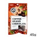 QBB コーヒービーンズ チョコレート 45g