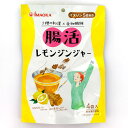 今岡製菓 腸活レモンジンジャー 4袋入 (15g×4袋)
