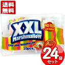 アンディ XXLカラフルマシュマロ （10個入）×24袋セット 取寄品／日付指定不可 送料無料