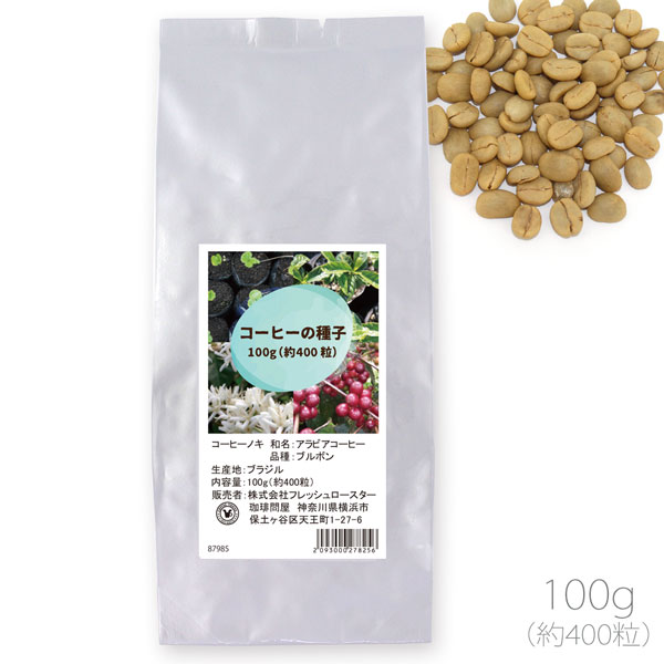 ブラジル産 コーヒーの発芽用種子 100g（約400粒）品種：ブルボン