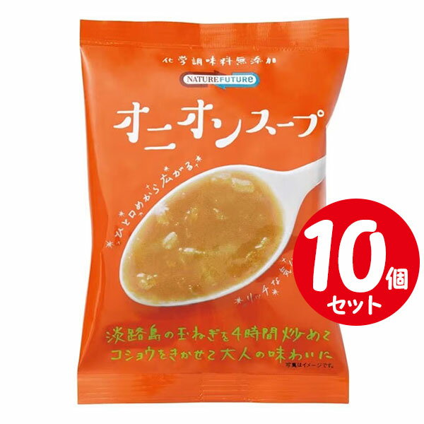 コスモス食品 NATUREFUTURe オニオンスープ 9.4g×10個セット