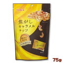 東洋ナッツ TON'S 焦がしキャラメルナッツ カシューナッツ 75g
