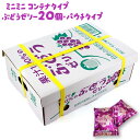 ASフーズ 果汁100%ゼリー ぶどう味 20個 パウチタイプ ミニチュアBOX入り