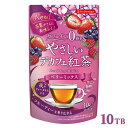 ティーブティック やさしいデカフェ紅茶 ベリーミックス 10TB ノンカフェイン 50615 日本緑茶センター