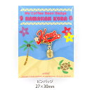 SUJAK バリスタ ピンバッジ ハワイコナ 27×30mm SJ_CC_101|詳細画像