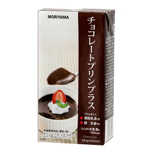 守山 チョコレートプリンプラス （500ml）