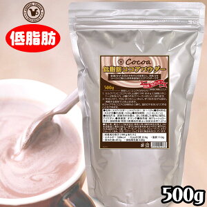 珈琲問屋 オランダ産 低脂肪ココアパウダー 500g