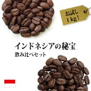 ◆ インドネシアの秘宝コーヒー2種合計1kgセット（生豆時500g×2銘柄） 送料無料