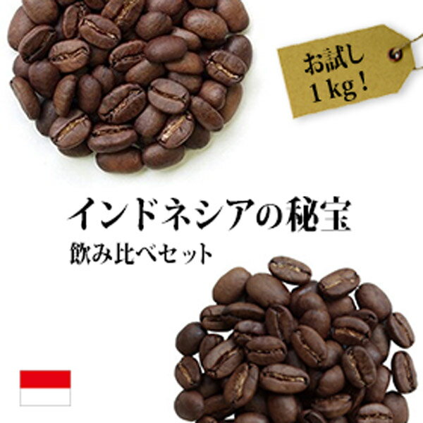 【送料無料】 インドネシアの秘宝コーヒー2種合計1kgセット（生豆時500g×2銘柄） 【セット割引】■