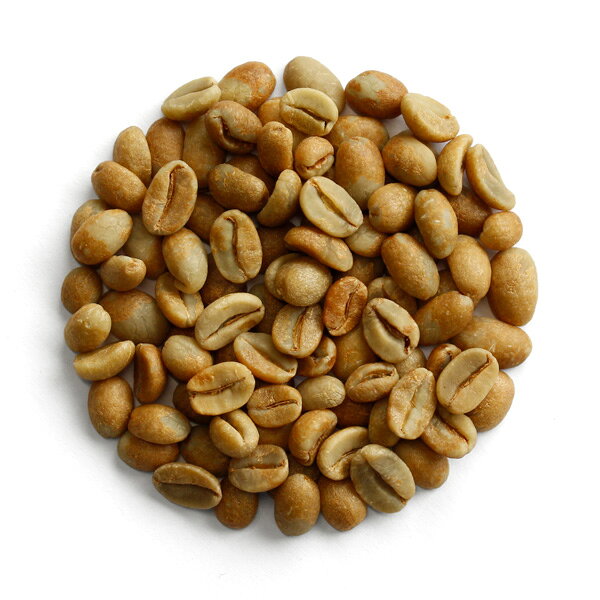 FRESH ROASTER珈琲問屋 楽天市場店の限定品 COE2025 タイ パカカヨファミリー（生豆時400g）｜アングル2