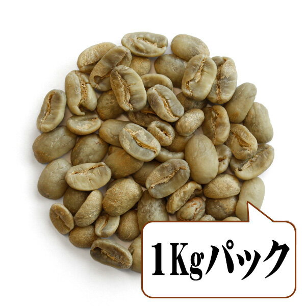 【生豆限定】 ニカラグア ロスアルティプラノス パカマラ （生豆1kgパック）