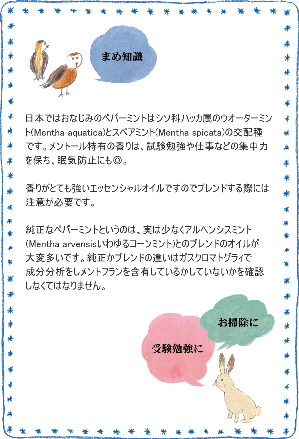 �ڥѡ��ߥ�� ���� 10ml ������ ��� ���å��󥷥�륪���� 100% �����ޥ����� ���ե� ���� �� �� �ϡ��� ���� ���ץ졼 �ޥå����������� ��� ˧��� ����� ����� ���� ����� ������ �Х������ �����ޥ����ɥ� ��̲ �ݥץ� �ԥ����ߥ��� �ʤɤ�