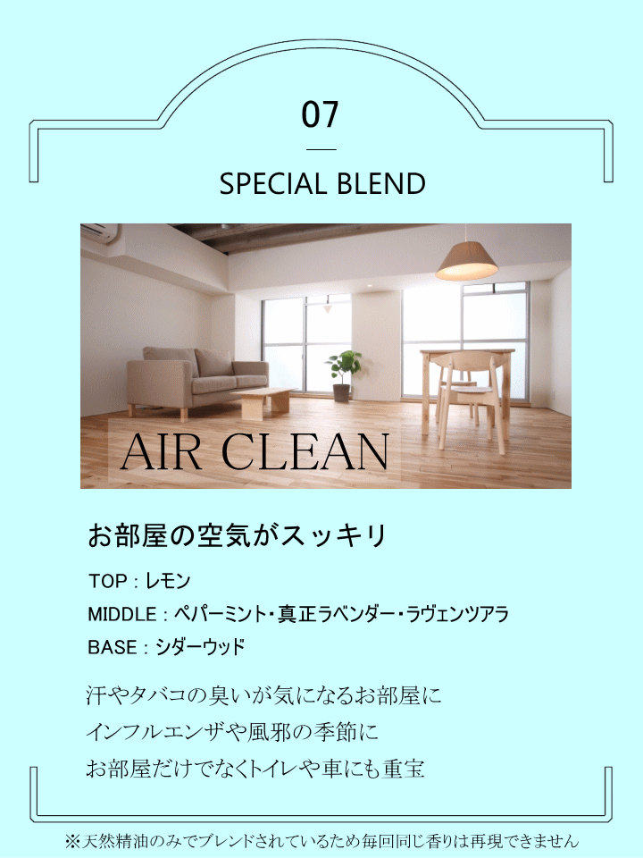 ブレンドオイル【 AIR CLEAN 】 10...の紹介画像2