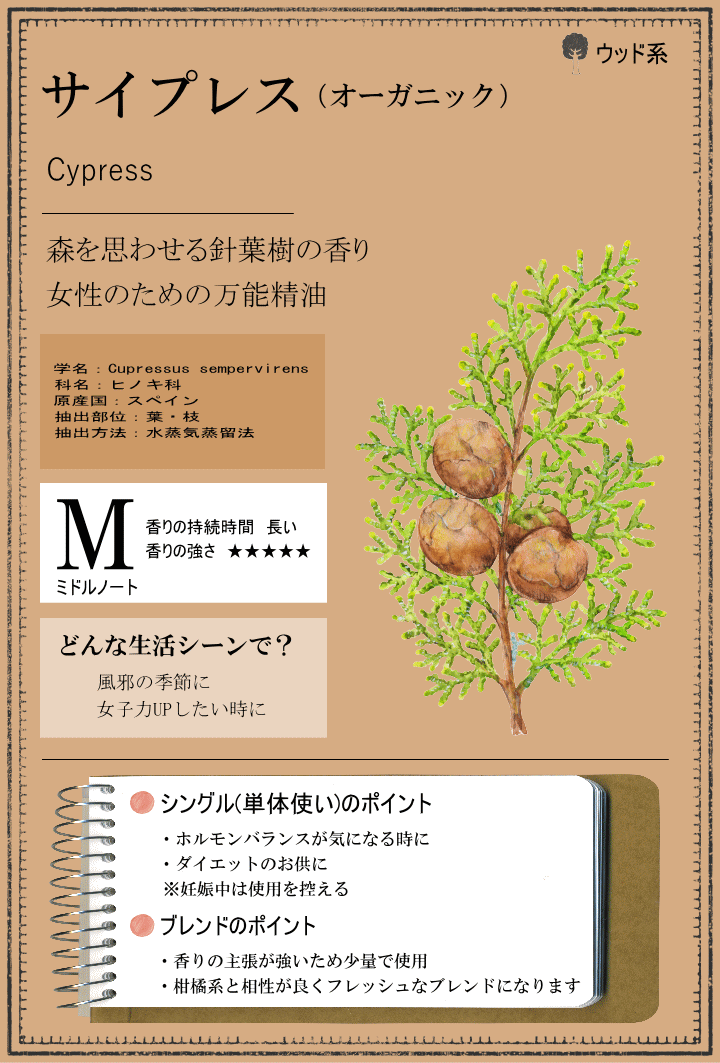 サイプレス 精油 オーガニック 10ml アロマ 香り エッセンシャルオイル 100% アロマオイル ギフト 真正 花 種 ハーブ 乾燥 スプレー マッサージオイル 香水 芳香剤 柔軟剤 入浴剤 お香 虫除け サシエ バスソルト アロマキャンドル 睡眠 ポプリ ピローミスト などに tonyatonya-10000011 睡眠アロマ精油 セラピストの問屋 サンプル画像2