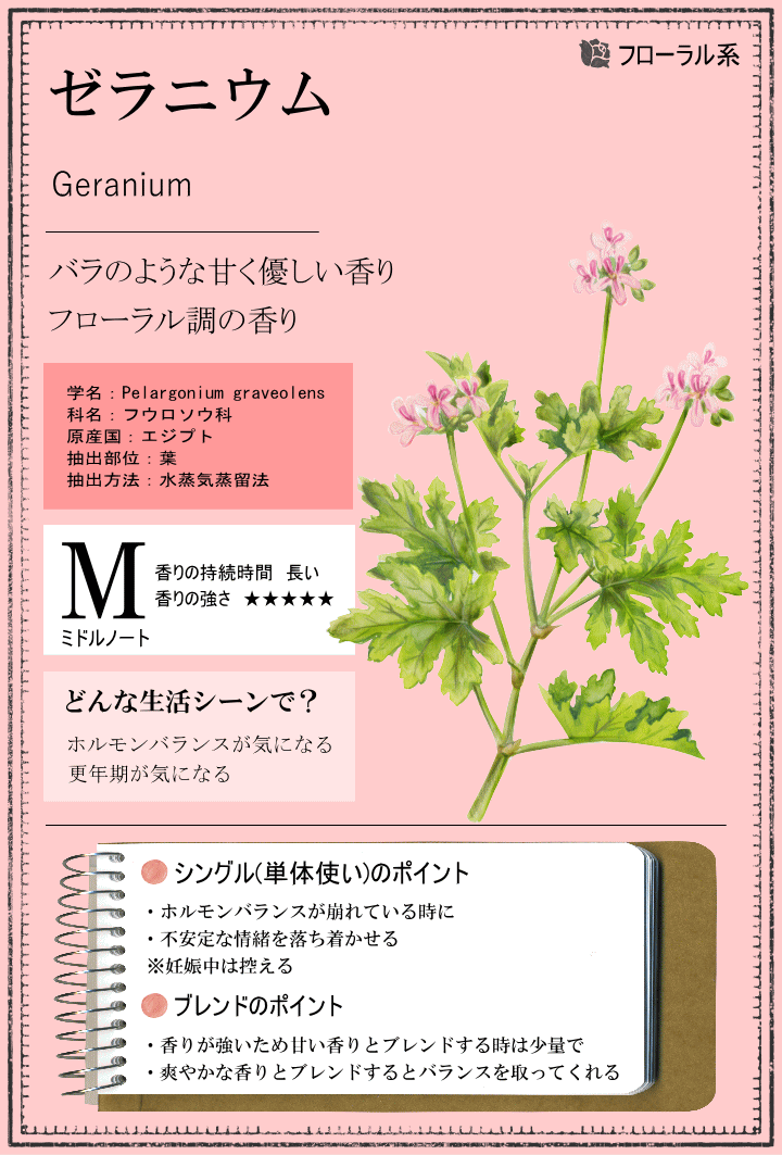 ゼラニウム 10ml アロマ アロマオイル エッセンシャルオイル 精油【香りと暮らす】