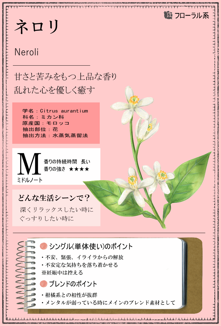 楽天市場 ネロリ 2ml モロッコ産 ネロリオイル アロマ アロマオイル エッセンシャルオイル 精油 香りと暮らす セラピストの問屋 2ページ目 みんなのレビュー 口コミ 楽天市場 ネロリ 2ml モロッコ産 ネロリオイル アロマ アロマオイル エッセンシャルオイル 精油 香りと暮らす セラピストの問屋 2ページ目 みんなのレビュー 口コミ