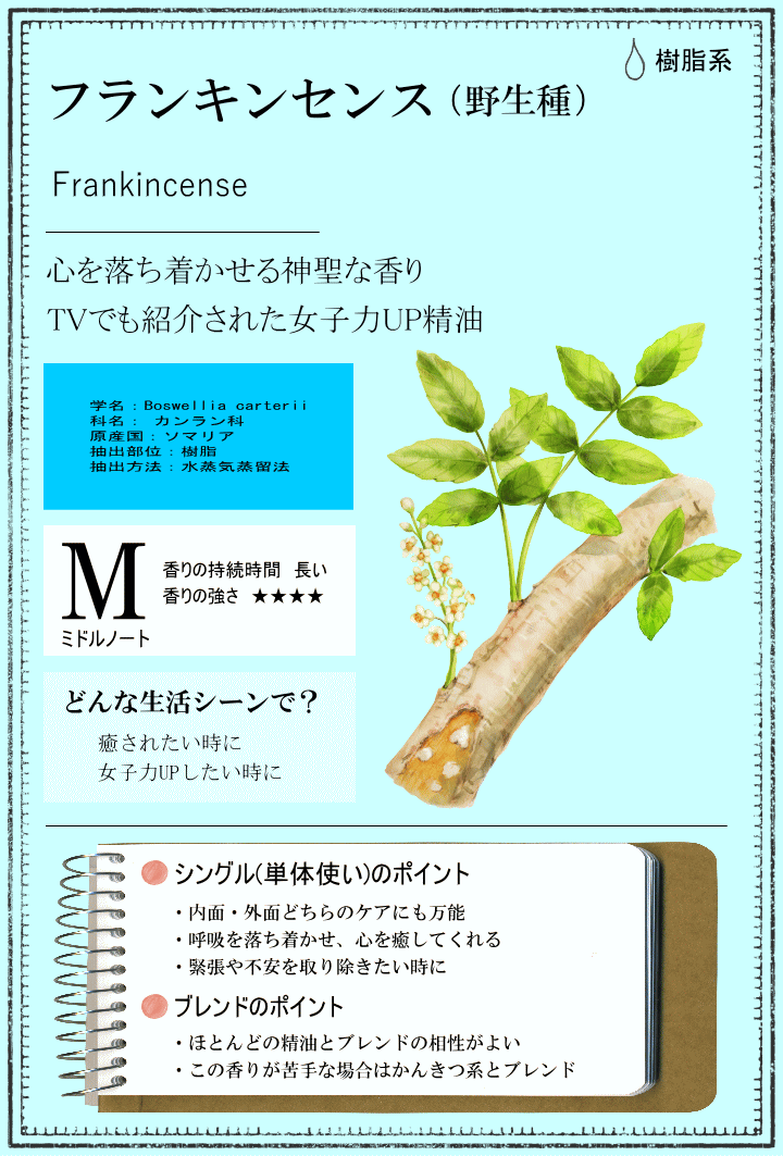 楽天市場 フランキンセンス 野生種 10ml アロマ アロマオイル エッセンシャルオイル 精油 香りと暮らす セラピストの問屋 2ページ目 みんなのレビュー 口コミ 楽天市場 フランキンセンス 野生種 10ml アロマ アロマオイル エッセンシャルオイル 精油 香りと暮らす セラピストの問屋 2ページ目 みんなのレビュー 口コミ